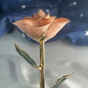 I Hate Steven Singer “I Love You” Pale Pink Real Rose dipped in 24k gold